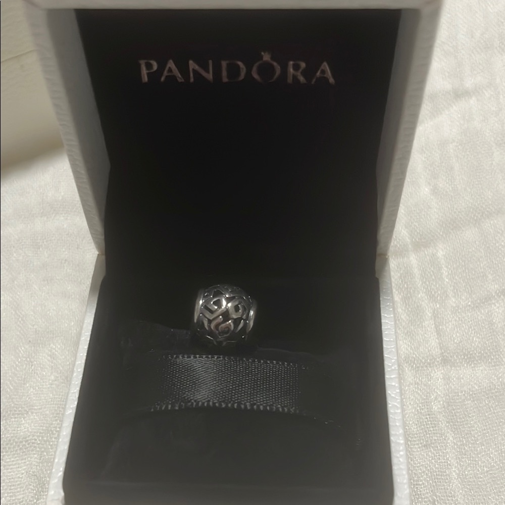 Pandora Silver Charm